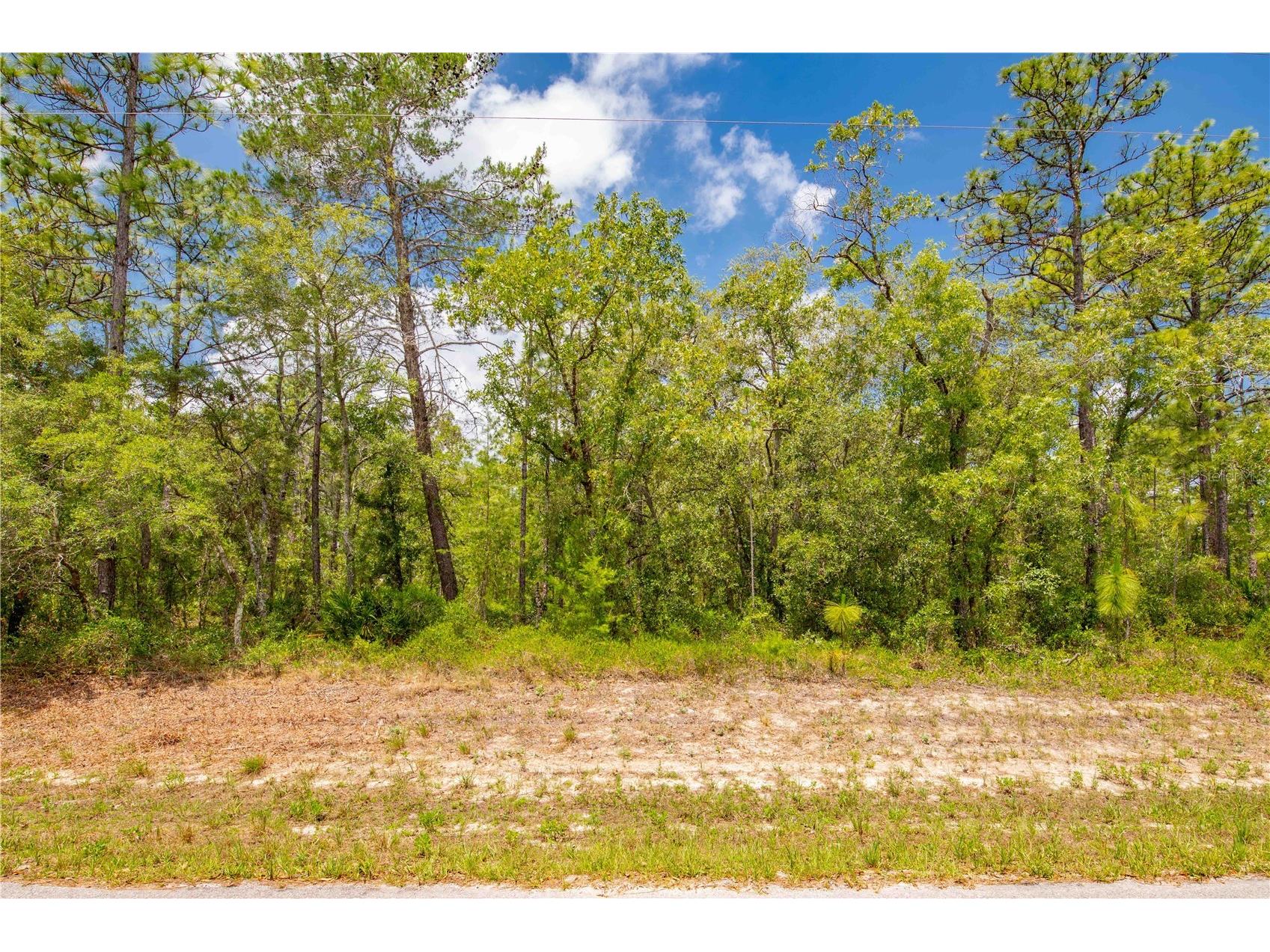 0 Mount Sparrow Road Weeki Wachee FL 34614 TB8388991 image1