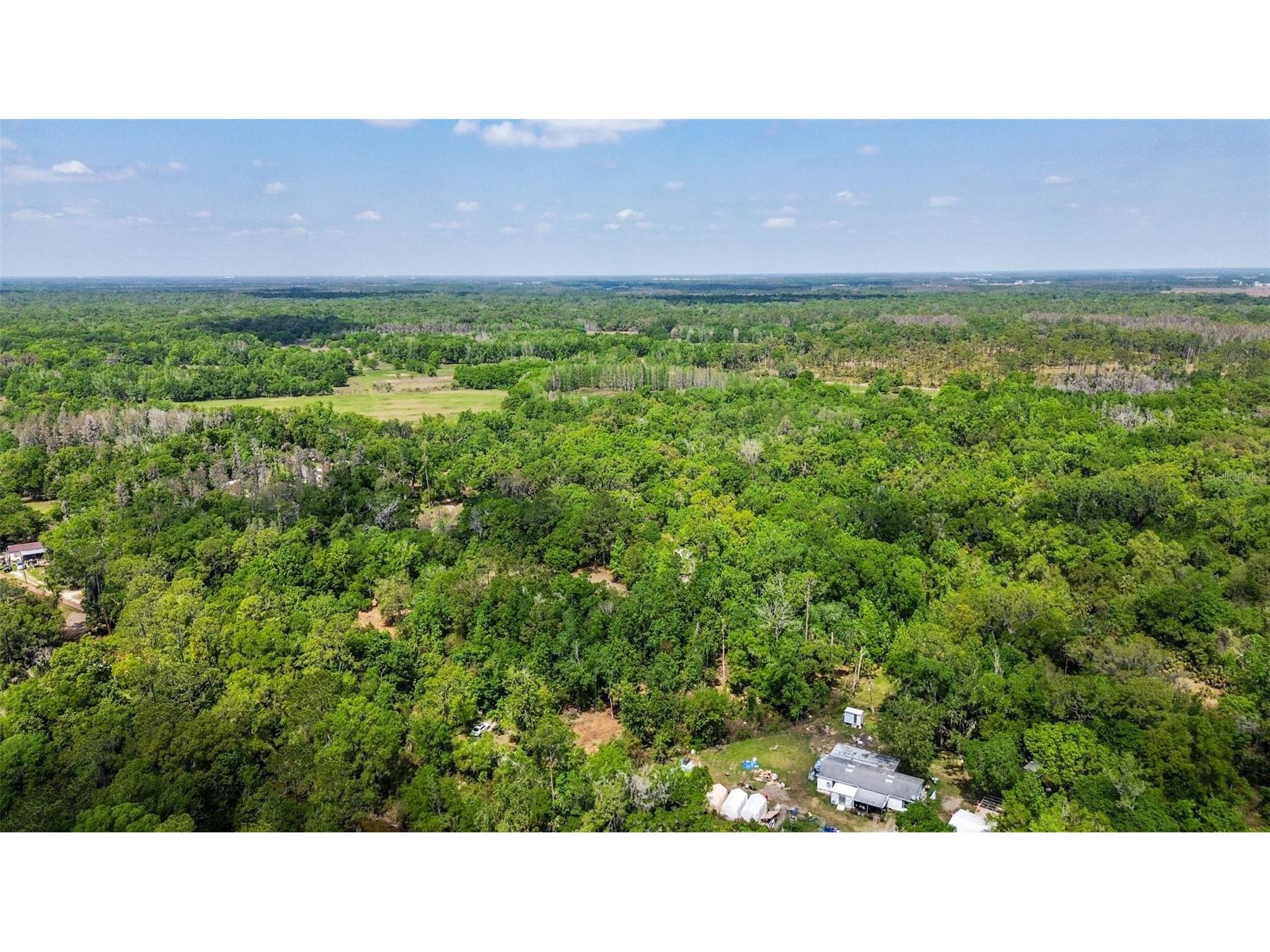 0 Muddy Water Trail Thonotosassa FL 33592 TB8494444 image10