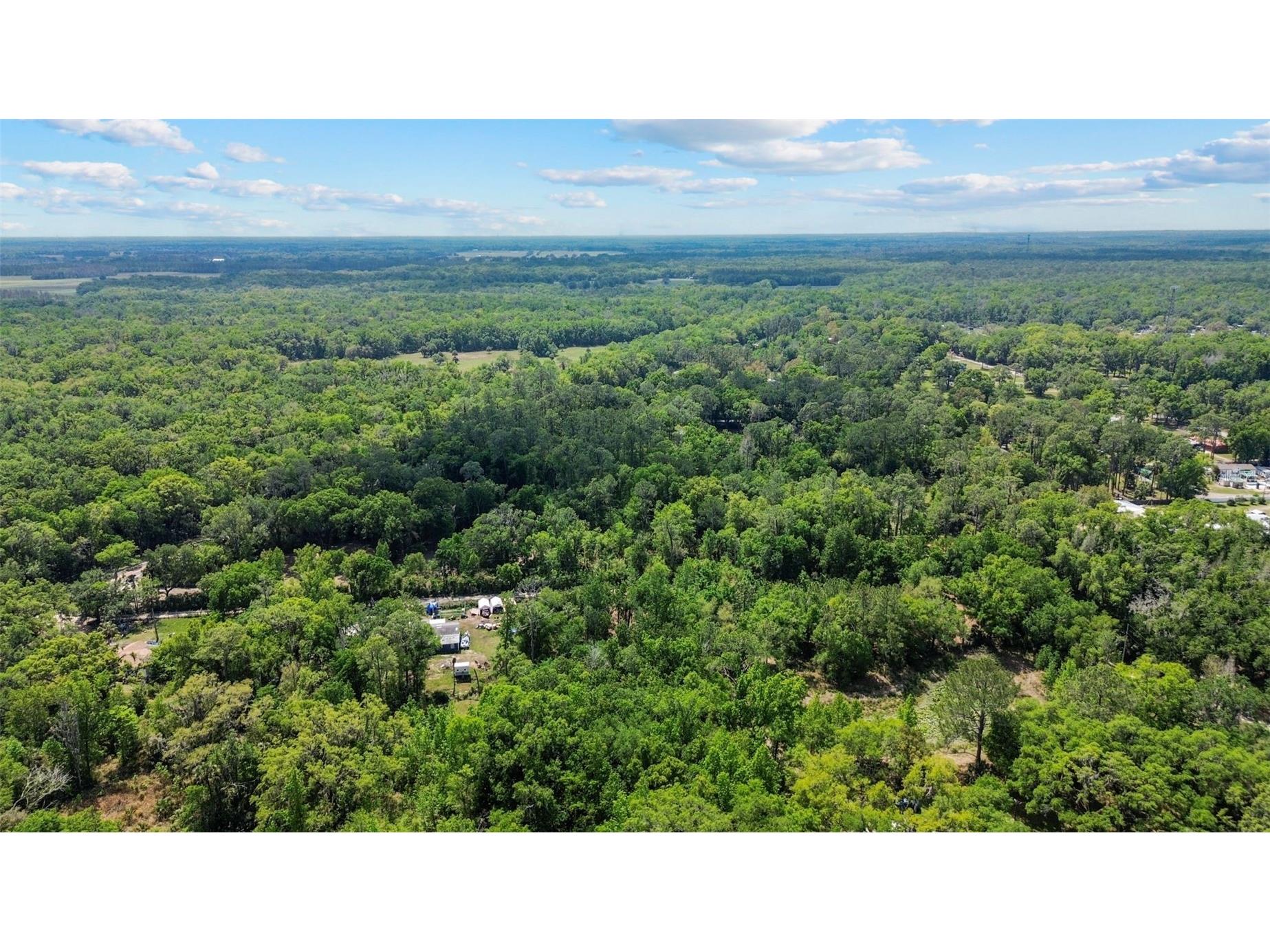 0 Muddy Water Trail Thonotosassa FL 33592 TB8494444 image14