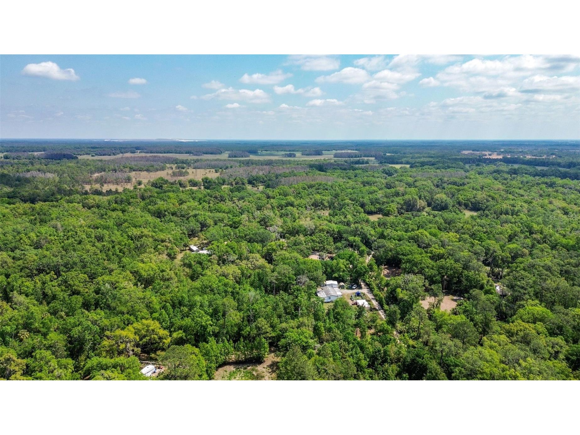 0 Muddy Water Trail Thonotosassa FL 33592 TB8494444 image15