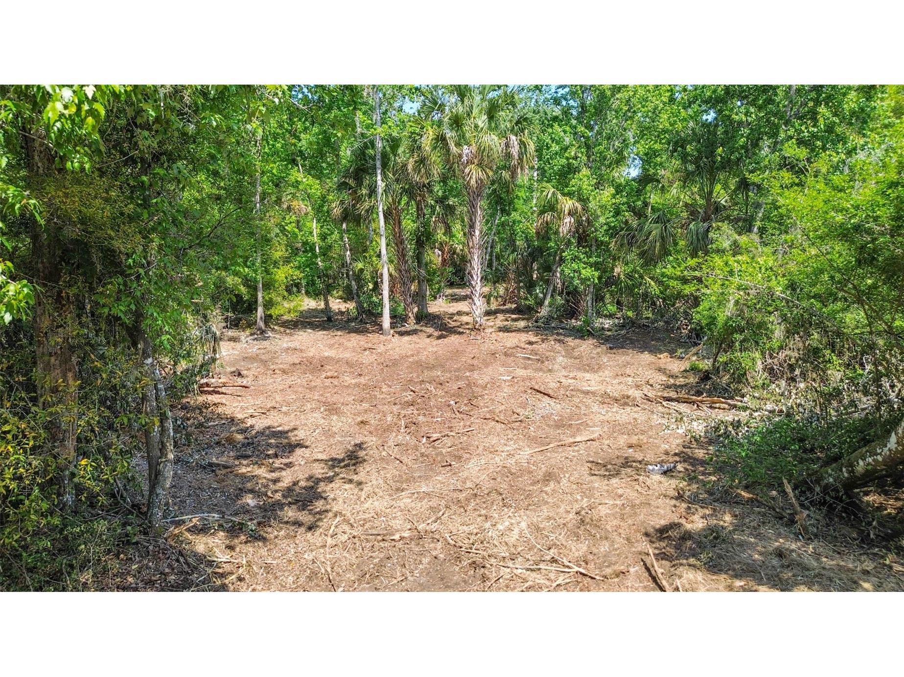 0 Muddy Water Trail Thonotosassa FL 33592 TB8494444 image18