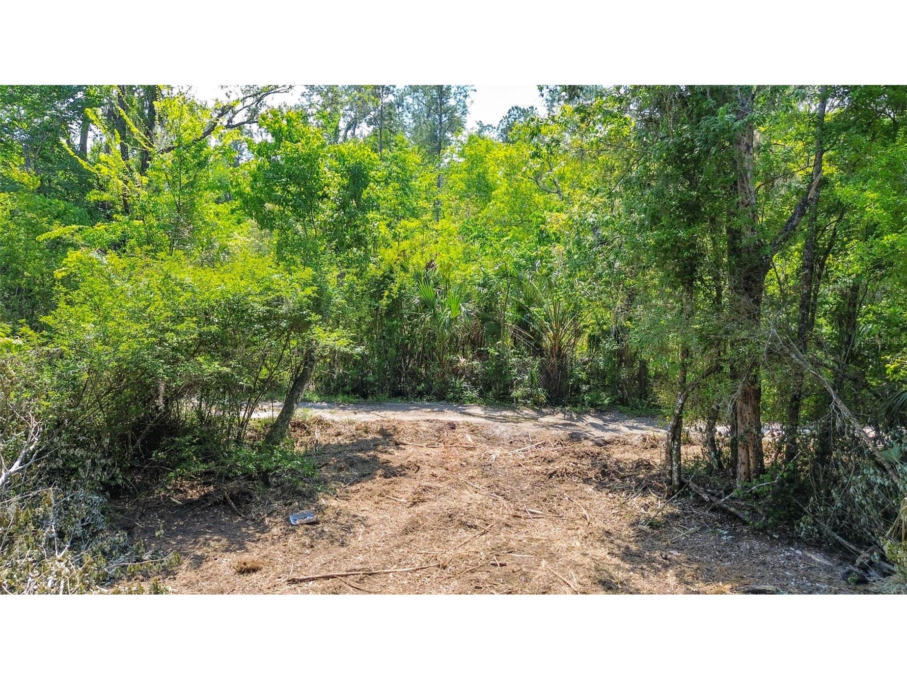 0 Muddy Water Trail Thonotosassa FL 33592 TB8494444 image19