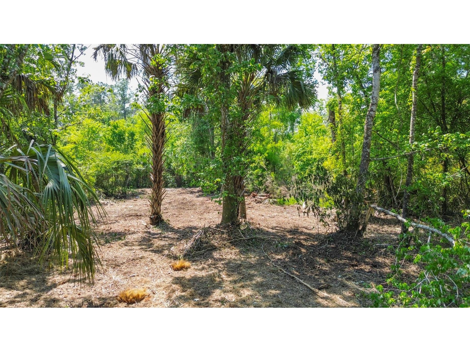 0 Muddy Water Trail Thonotosassa FL 33592 TB8494444 image20