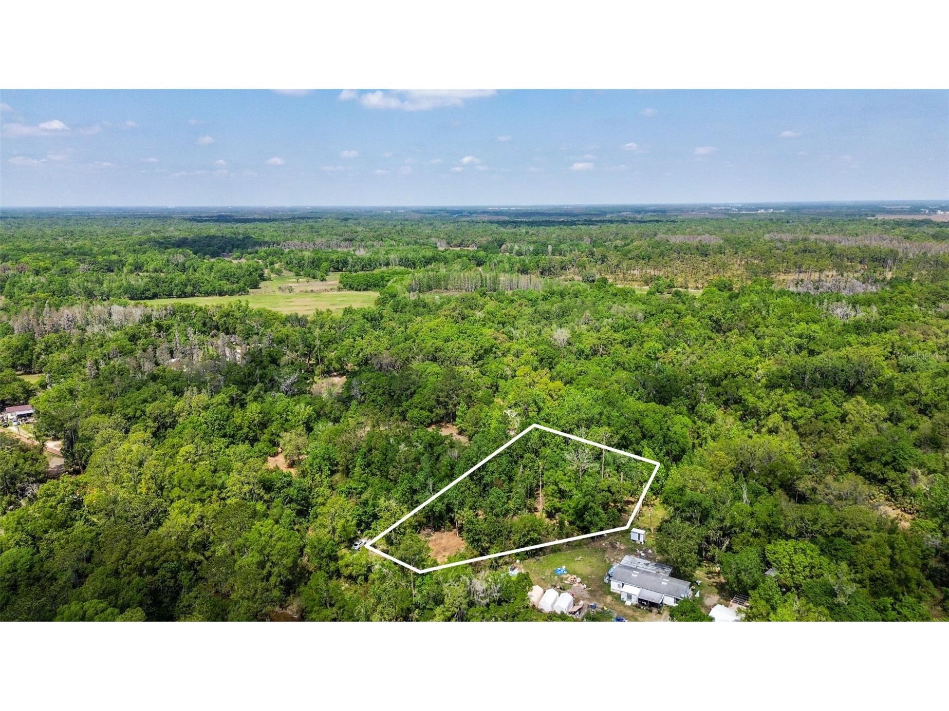 0 Muddy Water Trail Thonotosassa FL 33592 TB8494444 image23