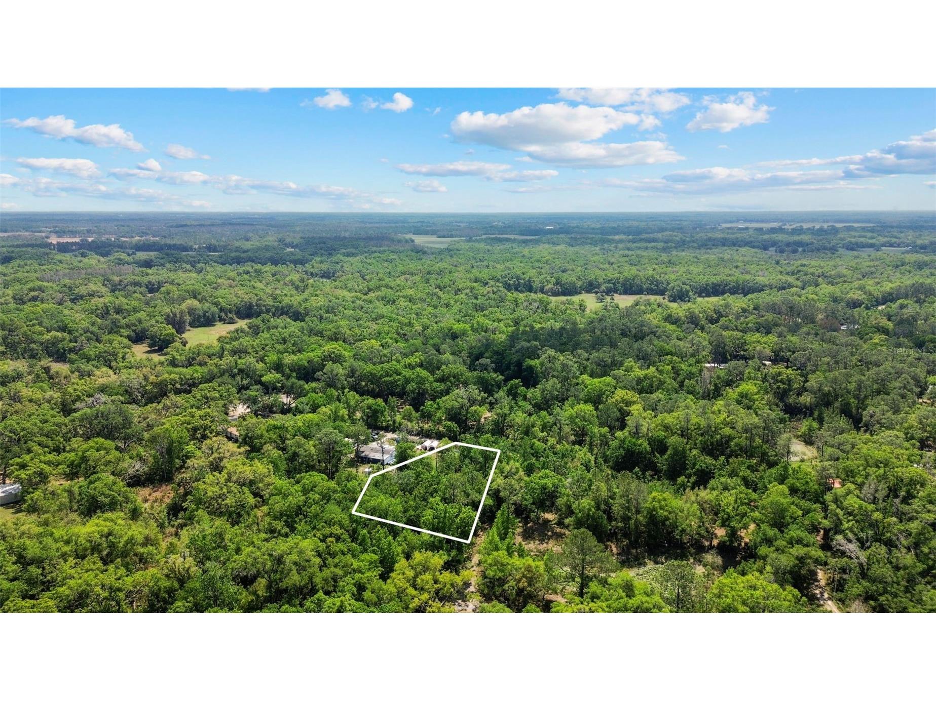 0 Muddy Water Trail Thonotosassa FL 33592 TB8494444 image28