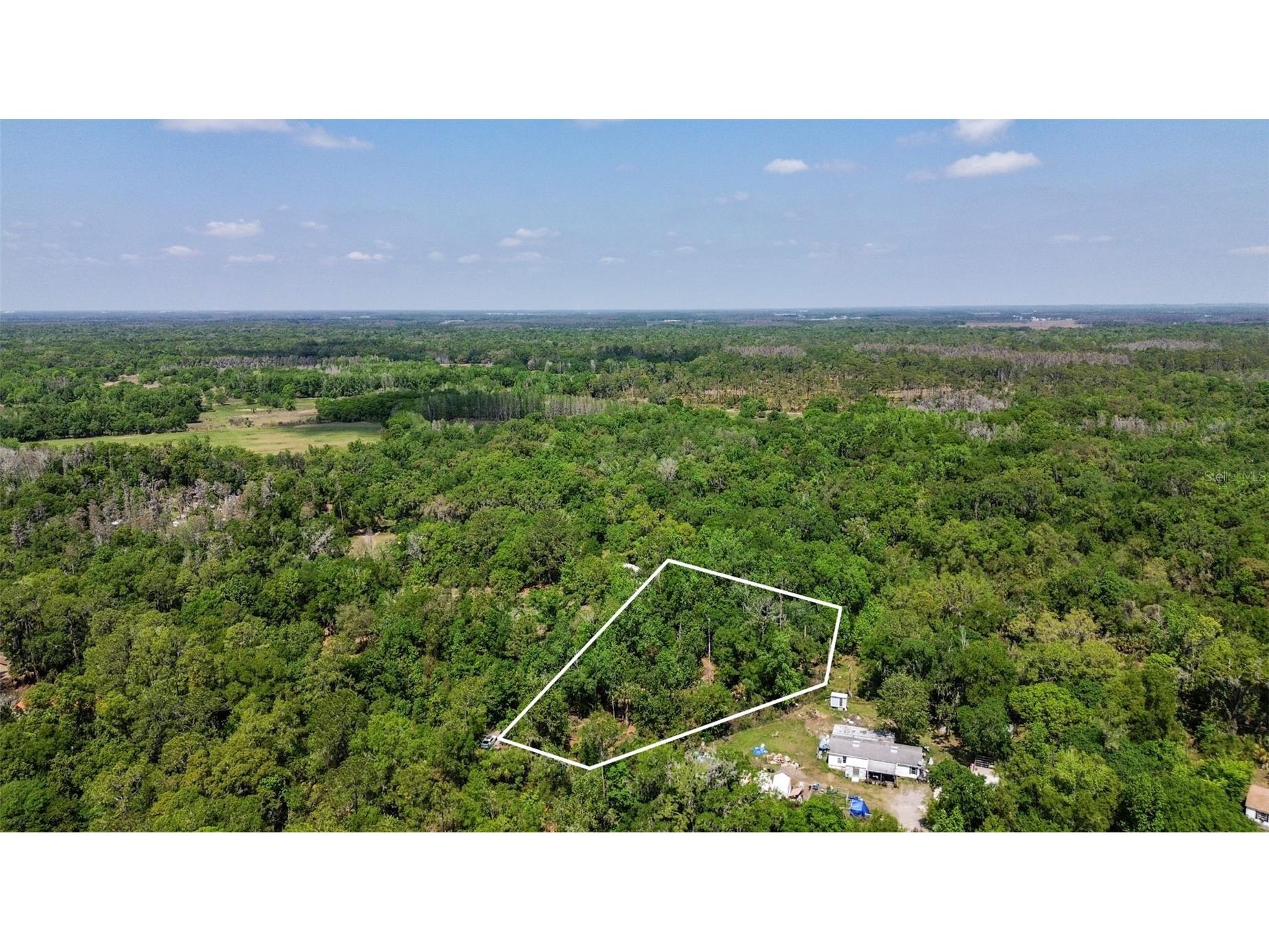 0 Muddy Water Trail Thonotosassa FL 33592 TB8494444 image33