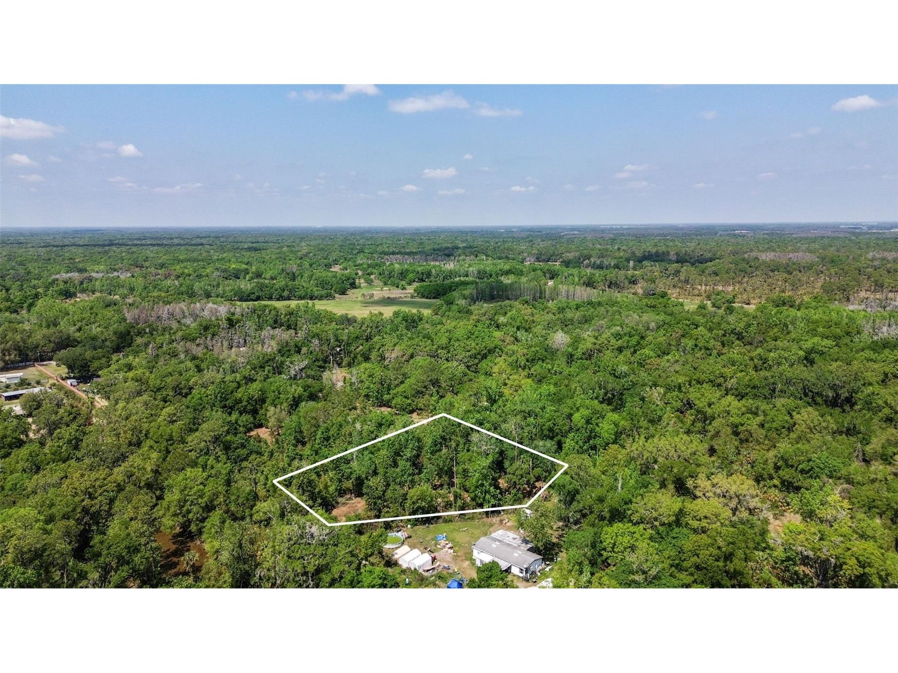 0 Muddy Water Trail Thonotosassa FL 33592 TB8494444 image34