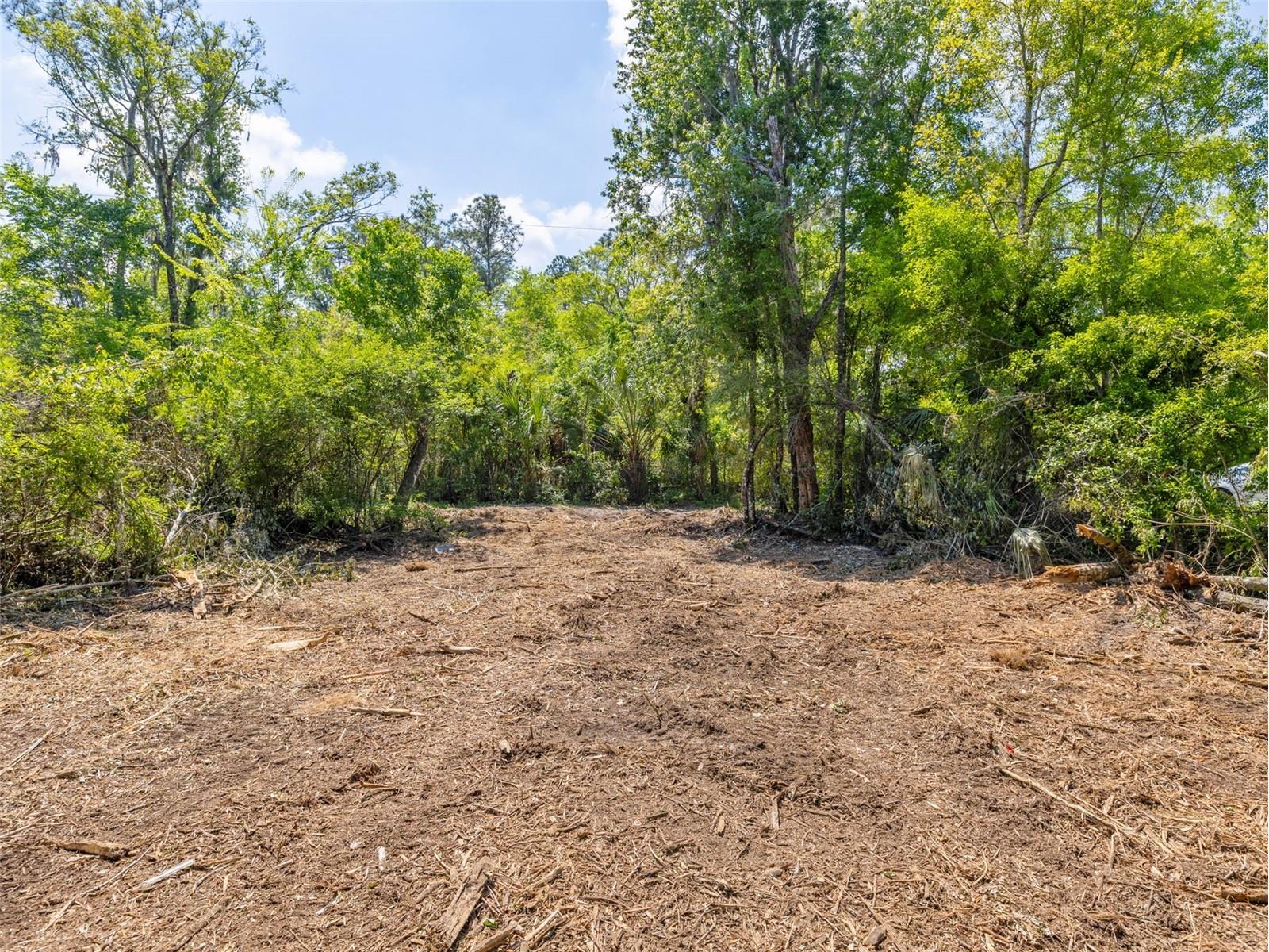 0 Muddy Water Trail Thonotosassa FL 33592 TB8494444 image4