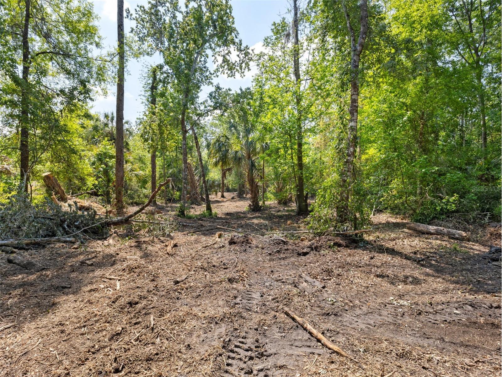 0 Muddy Water Trail Thonotosassa FL 33592 TB8494444 image7