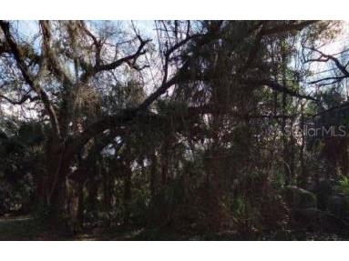 0 N 7th Street Fernandina Beach FL 32034 S5097174 image1