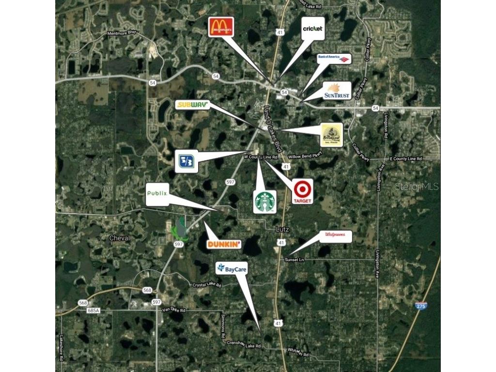 0 N Dale Mabry Highway Lutz FL 33548 T3516343 image1