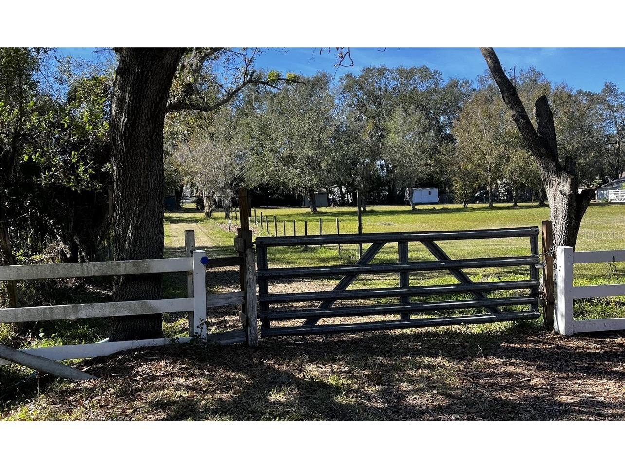 0 N Dover Road Dover FL 33527 O6299752 image1