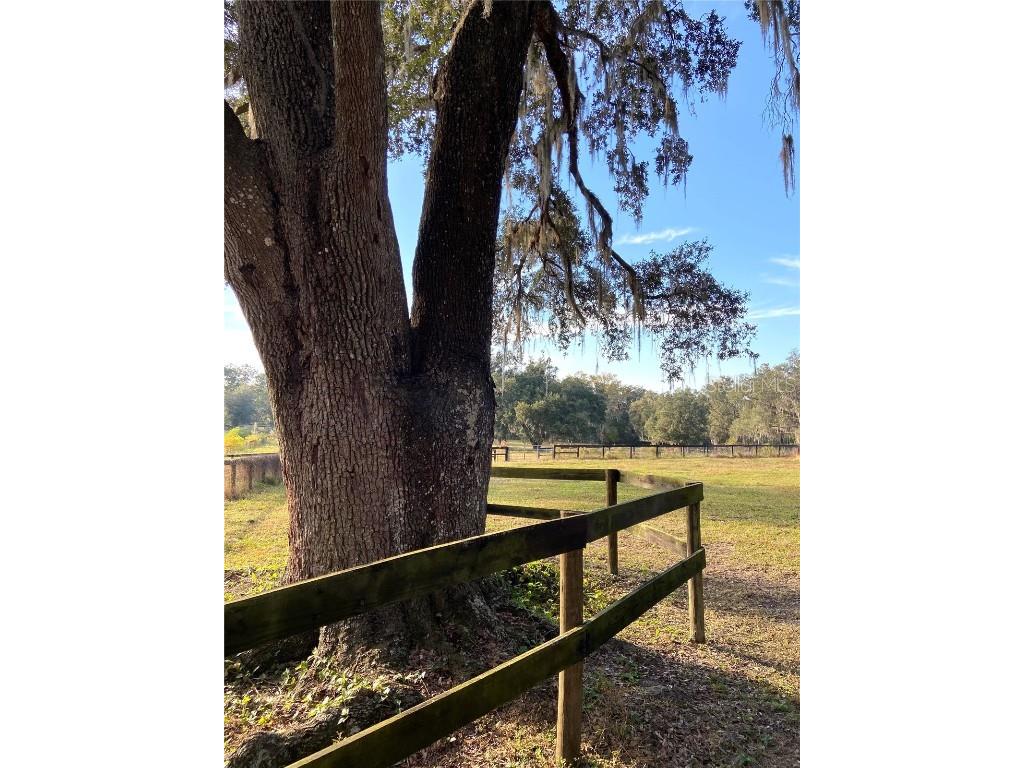 0 N Hwy Us 27 Ocala FL 34482 OM714577 image11