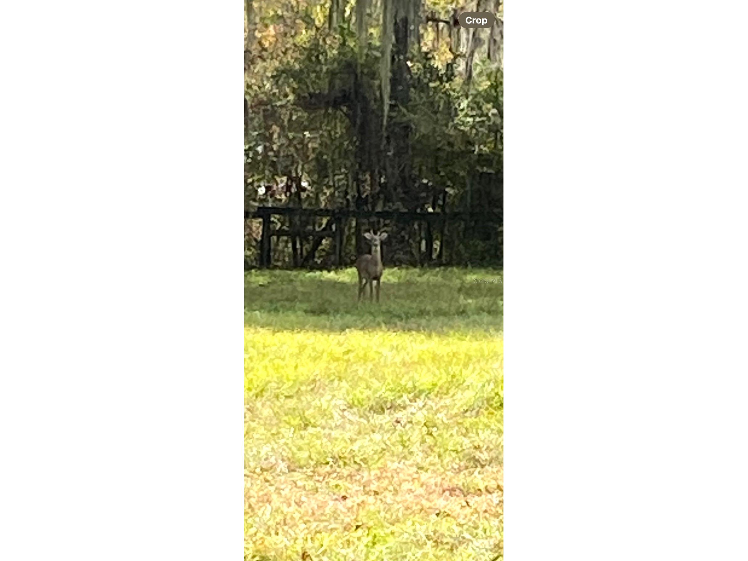 0 N Hwy Us 27 Ocala FL 34482 OM714577 image12