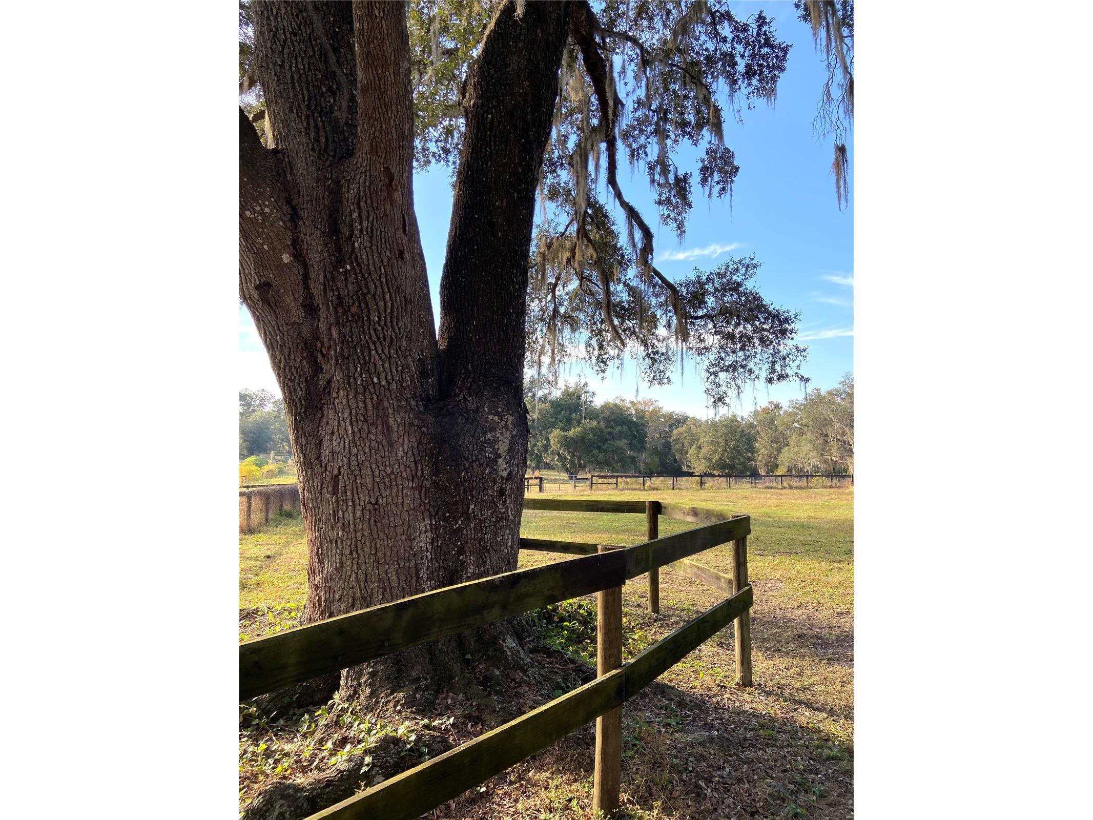 0 N Hwy Us 27 Ocala FL 34482 OM714577 image13