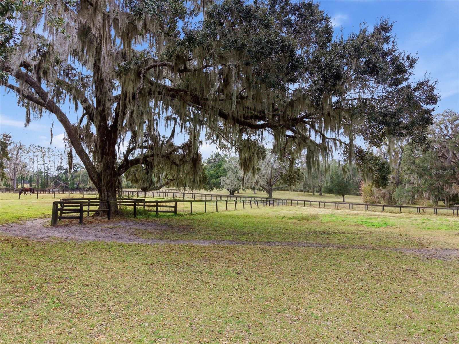 0 N Hwy Us 27 Ocala FL 34482 OM714577 image31