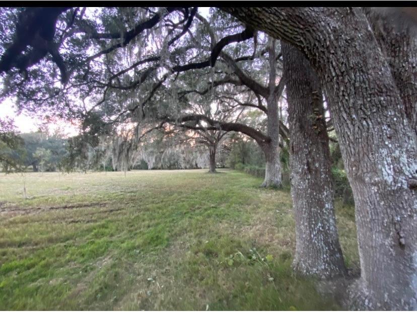 0 N Hwy Us 27 Ocala FL 34482 OM714577 image8