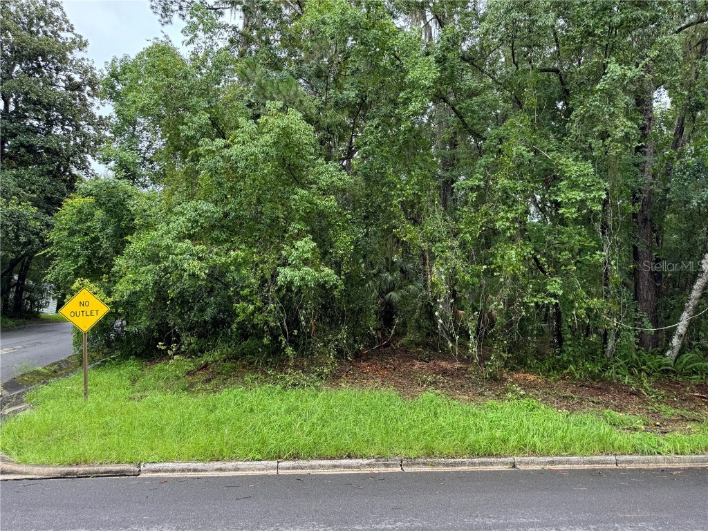 0 N Lemon Avenue Brooksville FL 34601 W7866470 image1