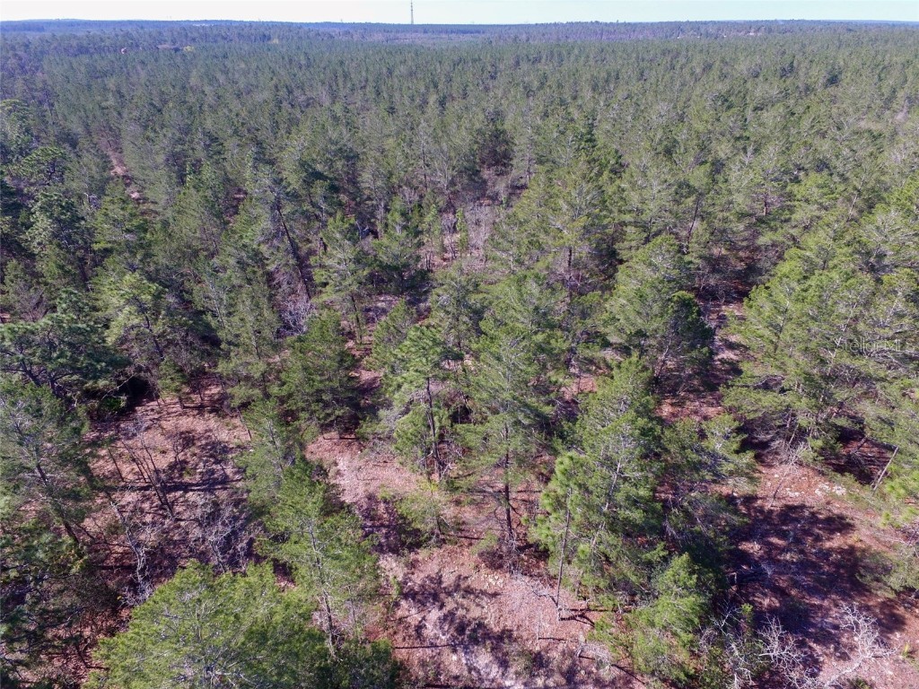 0 N Lindhurst Circle Dunnellon FL 34433 T3369830 image1