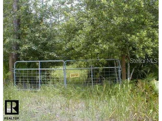 0 N Lutz Lake Fern Road Odessa FL 33556 U8175479 image1