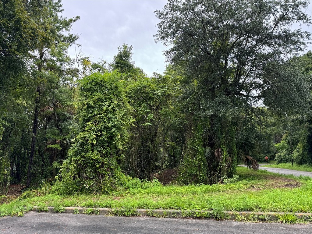 0 N Orange Avenue Brooksville FL 34601 W7866512 image1