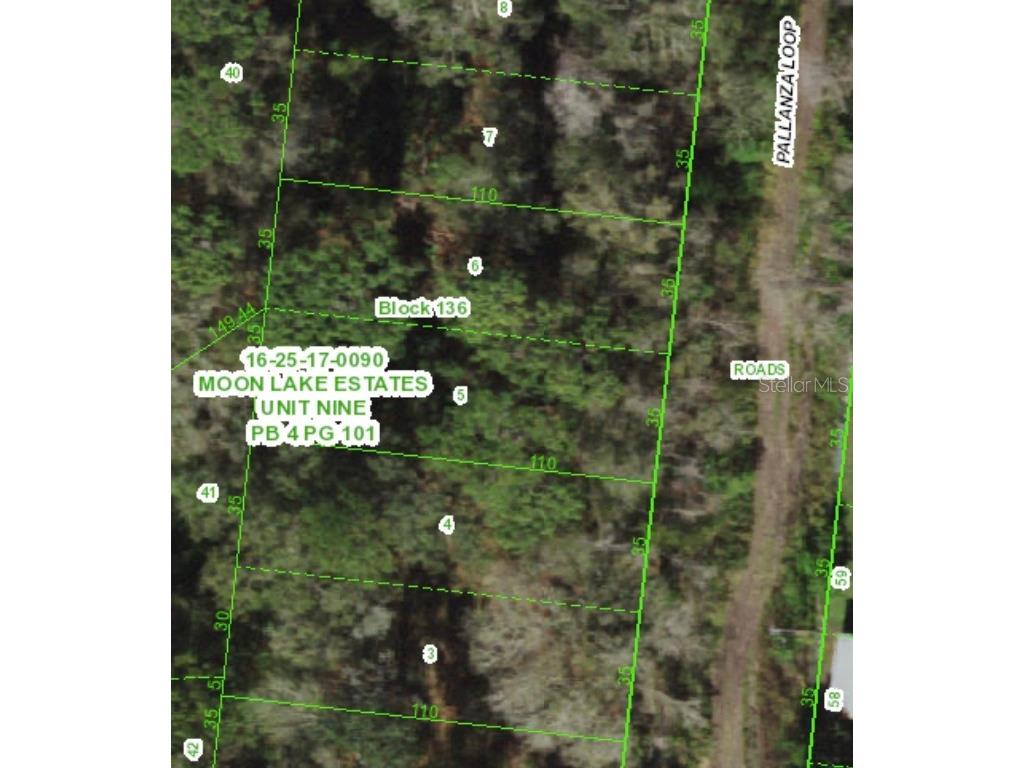 0 N Pallanza Loop New Port Richey FL 34654 U8195662 image1