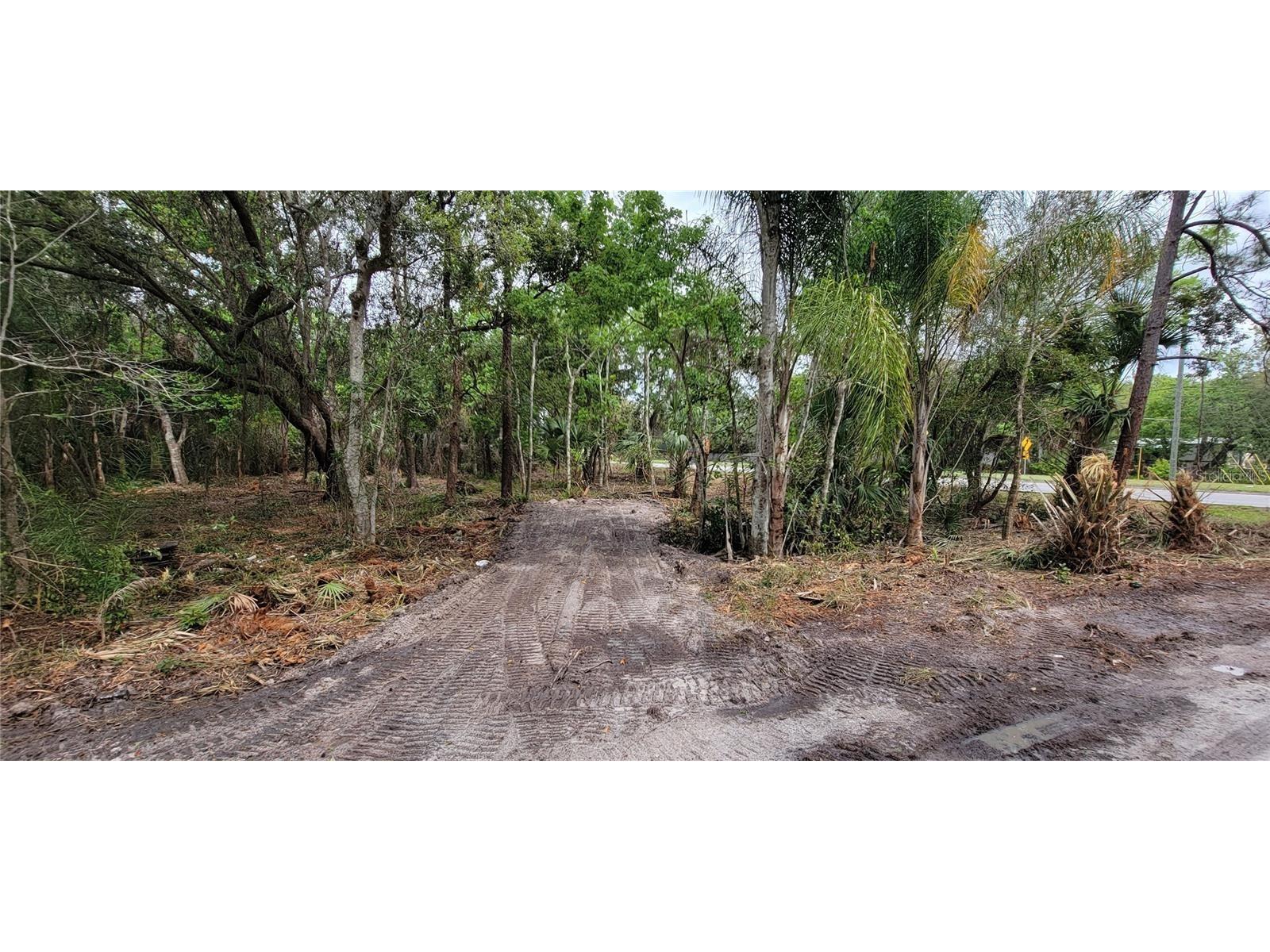 0 N Poinciana Boulevard Kissimmee FL 34746 S5151896 image3