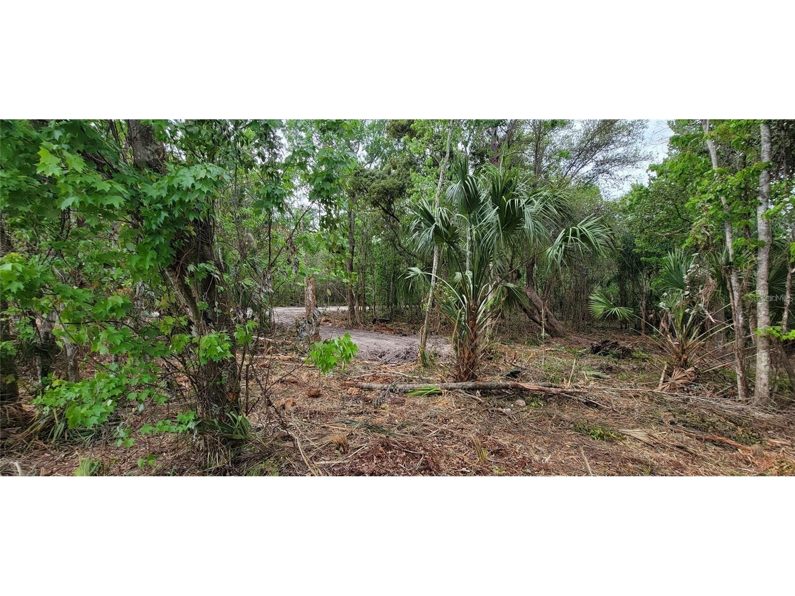 0 N Poinciana Boulevard Kissimmee FL 34746 S5151896 image4