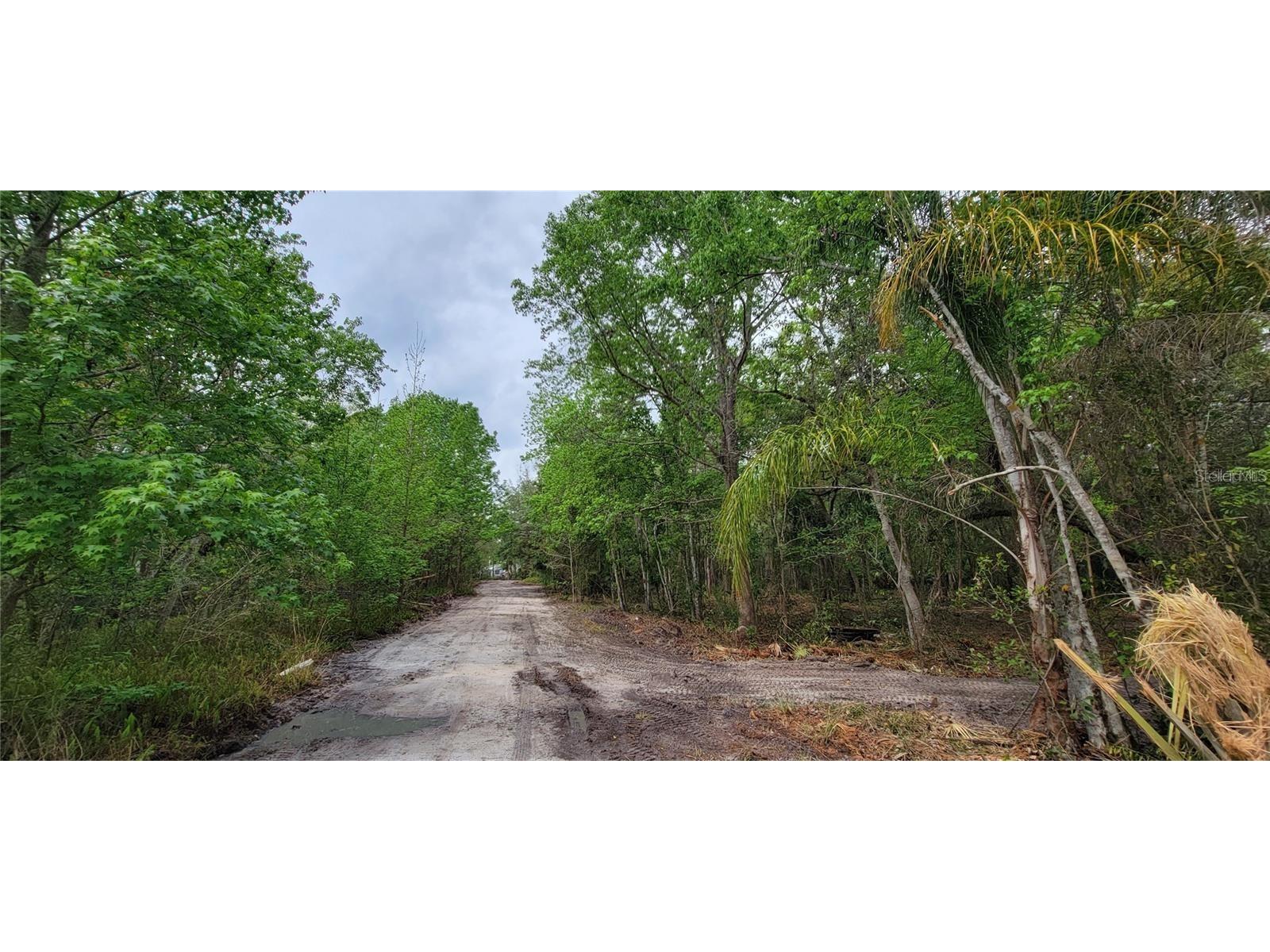 0 N Poinciana Boulevard Kissimmee FL 34746 S5151896 image5