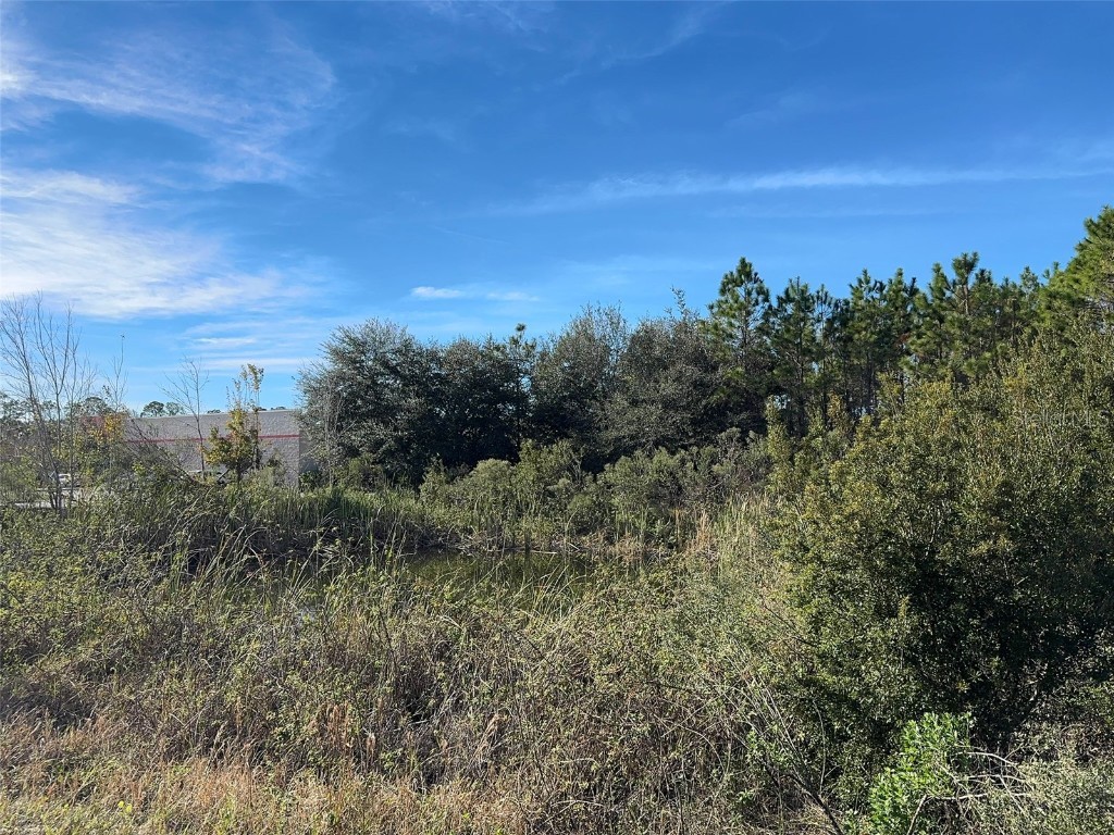 0 N State Street Bunnell FL 32110 FC312731 image6