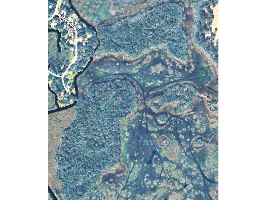 0 N Toro Drive Inverness FL 34453 A4697866 image5