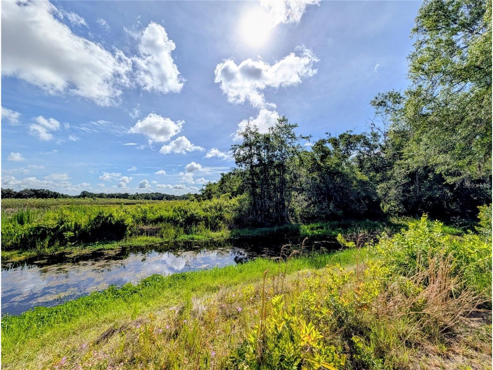 0 N Toro Drive Inverness FL 34453 A4697866 image7
