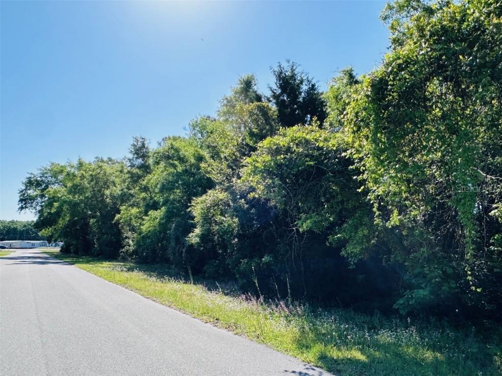 0 N Young Boulevard Chiefland FL 32626 GC529918 image5