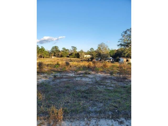 0 NE 103rd Terrace Archer FL 32618 GC509963 image1