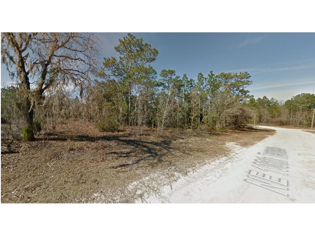 0 NE 108th Terrace Archer FL 32618 TB8344935 image1