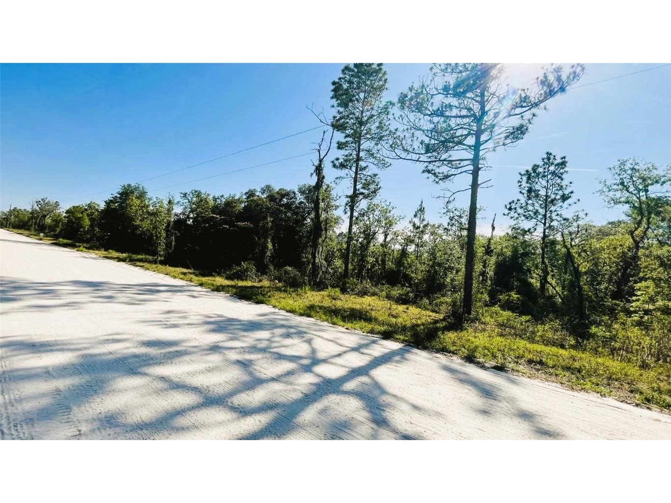 0 NE 110th Avenue Bronson FL 32621 GC513142 image1