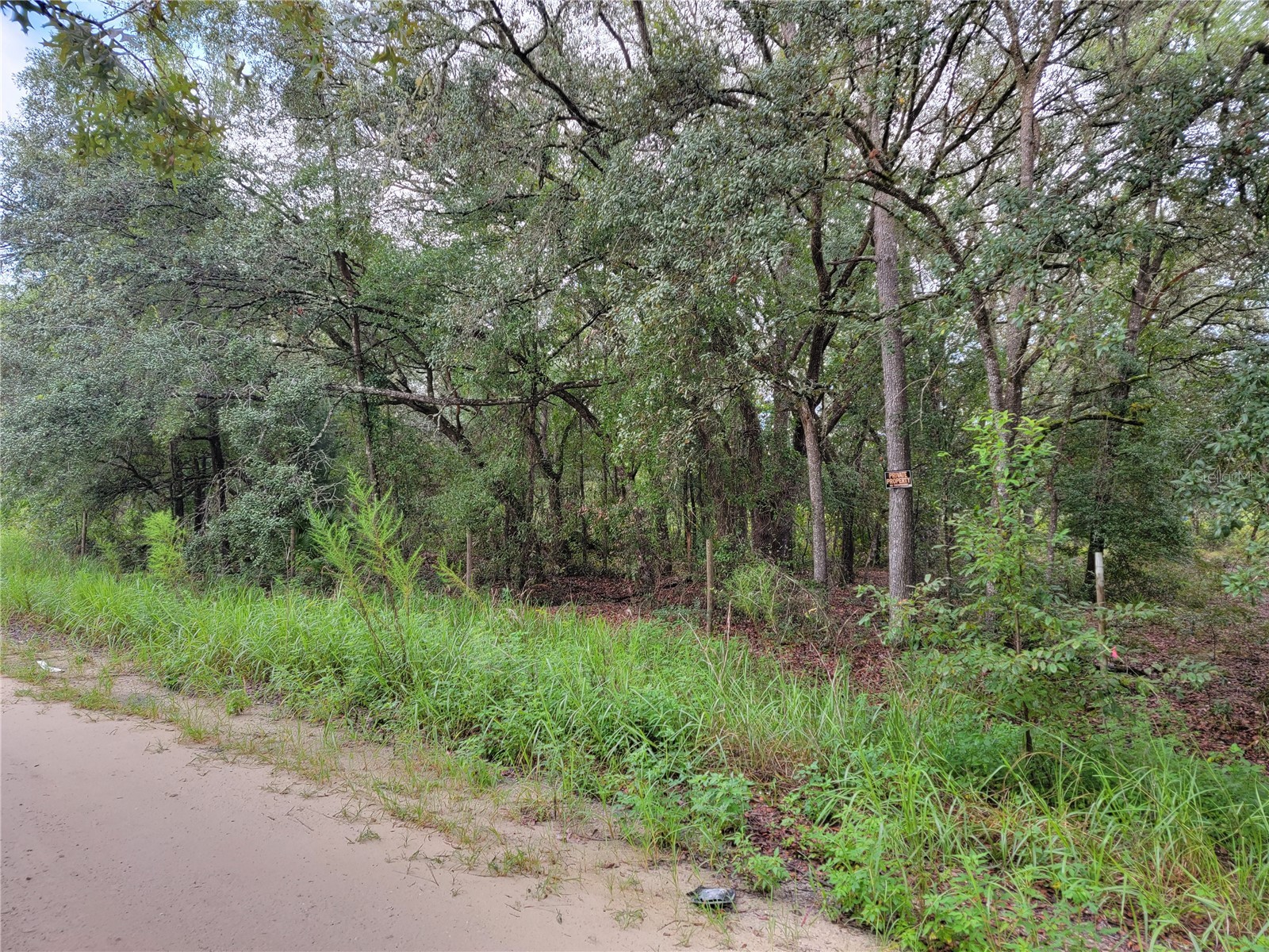 0 NE 110th Avenue Bronson FL 32621 OM708225 image1