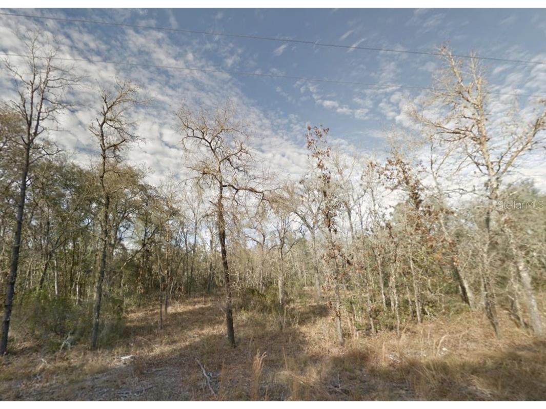0 NE 112th Terrace Bronson FL 32621 A4614829 image1