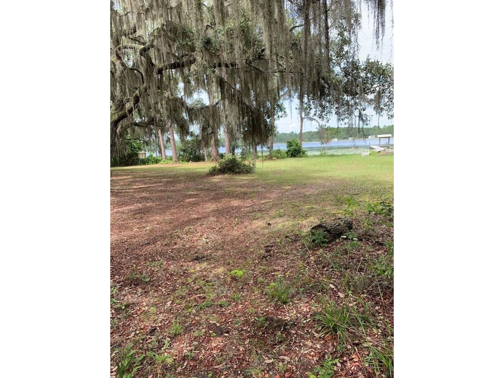 0 NE 114th Avenue Fort Mc Coy FL 32134 A4578775 image1