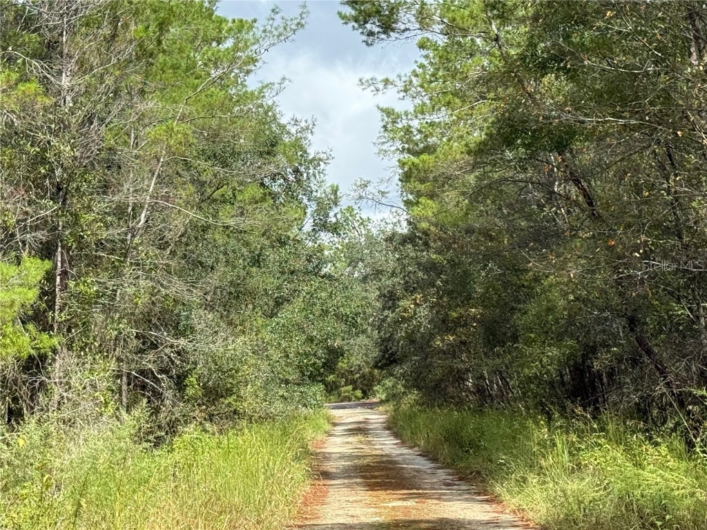 0 NE 114th Avenue Road Fort Mc Coy FL 32134 - CADDO LAKE OM711053 image10