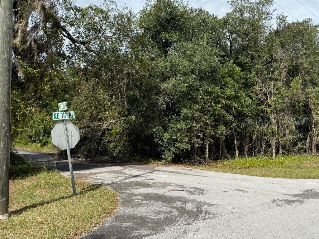 0 NE 114th Avenue Road Fort Mc Coy FL 32134 - CADDO LAKE OM711053 image11