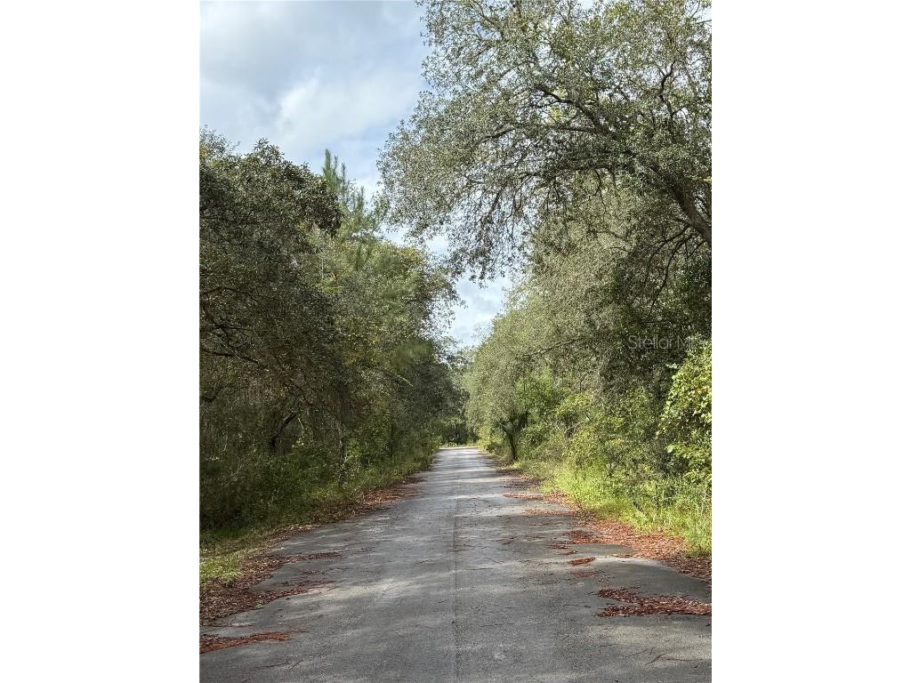 0 NE 114th Avenue Road Fort Mc Coy FL 32134 - CADDO LAKE OM711053 image2