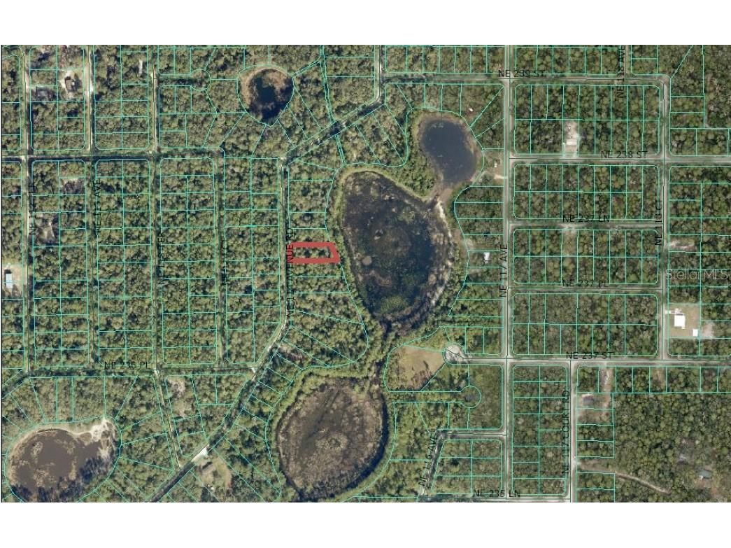 0 NE 114th Avenue Road Fort Mc Coy FL 32134 - CADDO LAKE OM711053 image3