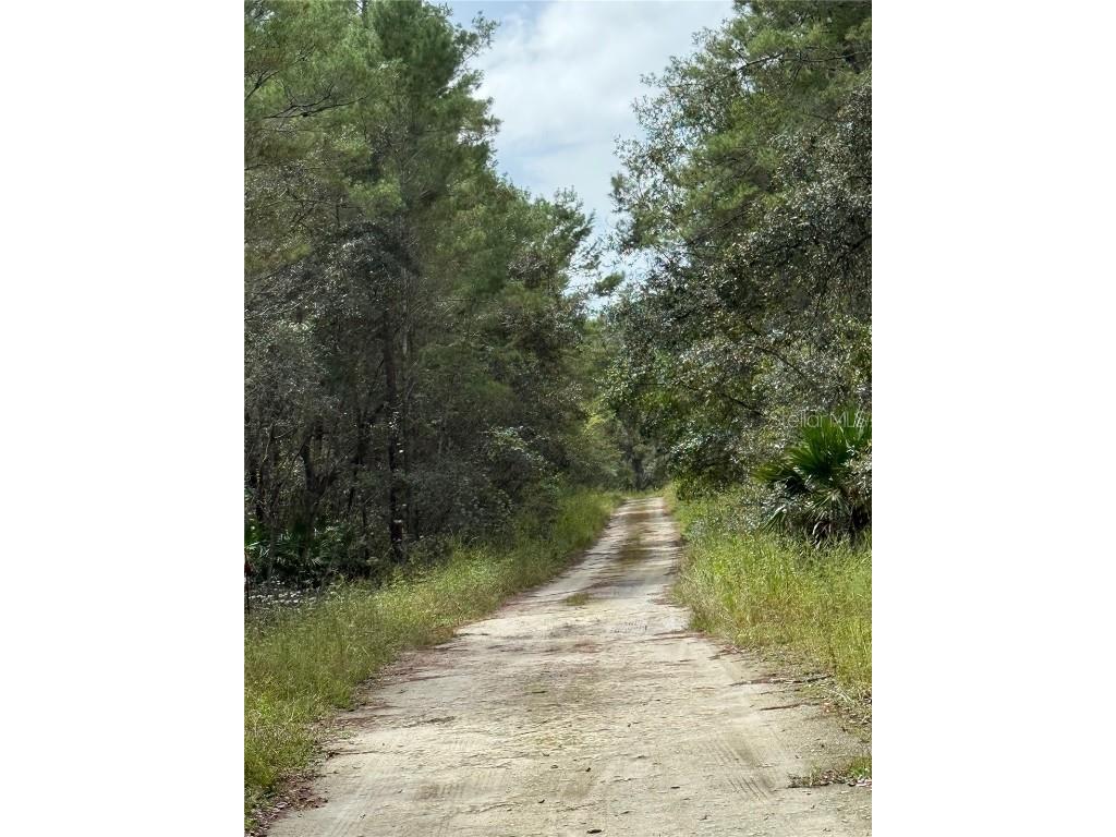 0 NE 114th Avenue Road Fort Mc Coy FL 32134 - CADDO LAKE OM711053 image6