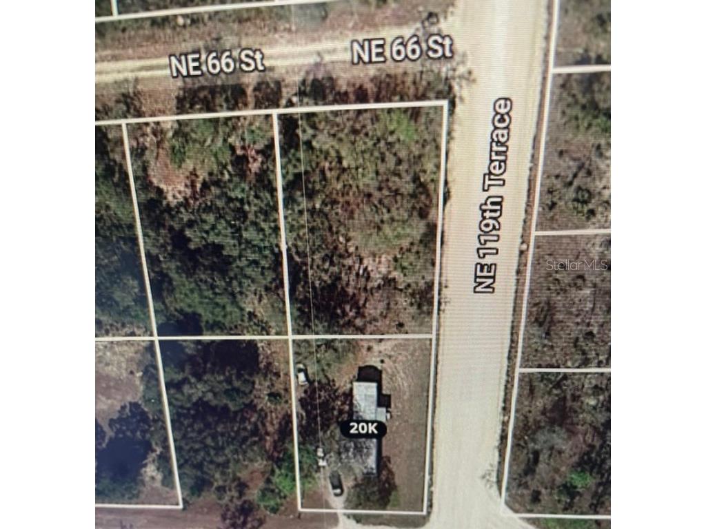 0 Ne 119th Ter Williston FL 32696 T3405484 image1