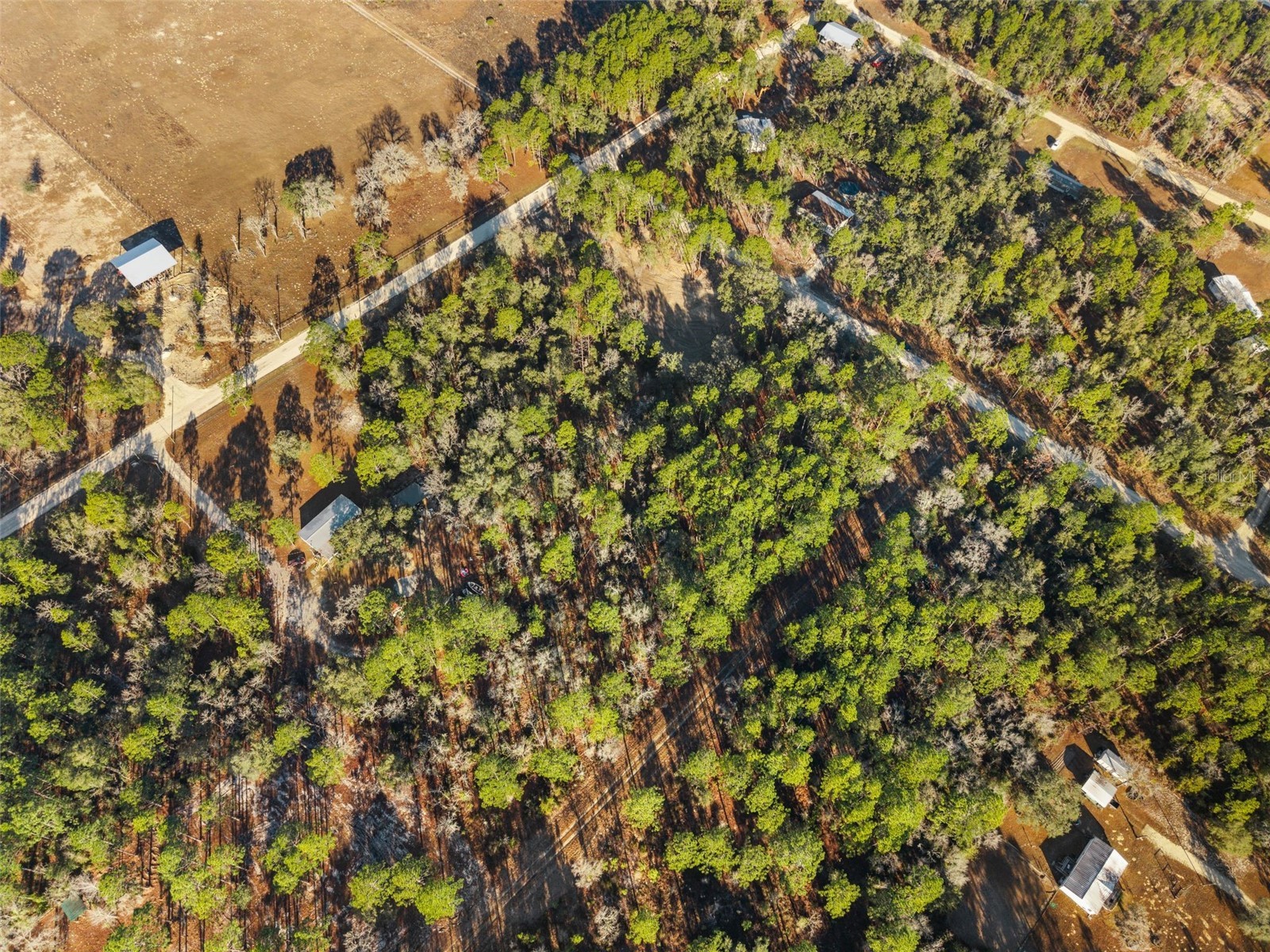 0 NE 121st Avenue Williston FL 32696 GC537233 image11