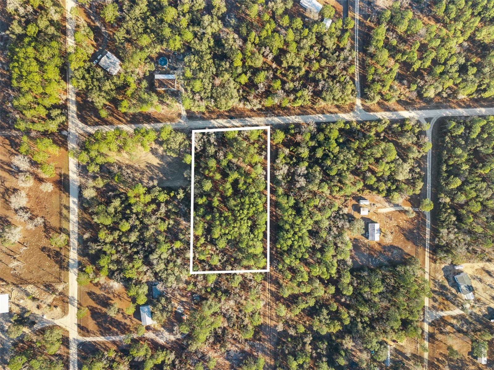 0 NE 121st Avenue Williston FL 32696 GC537233 image2