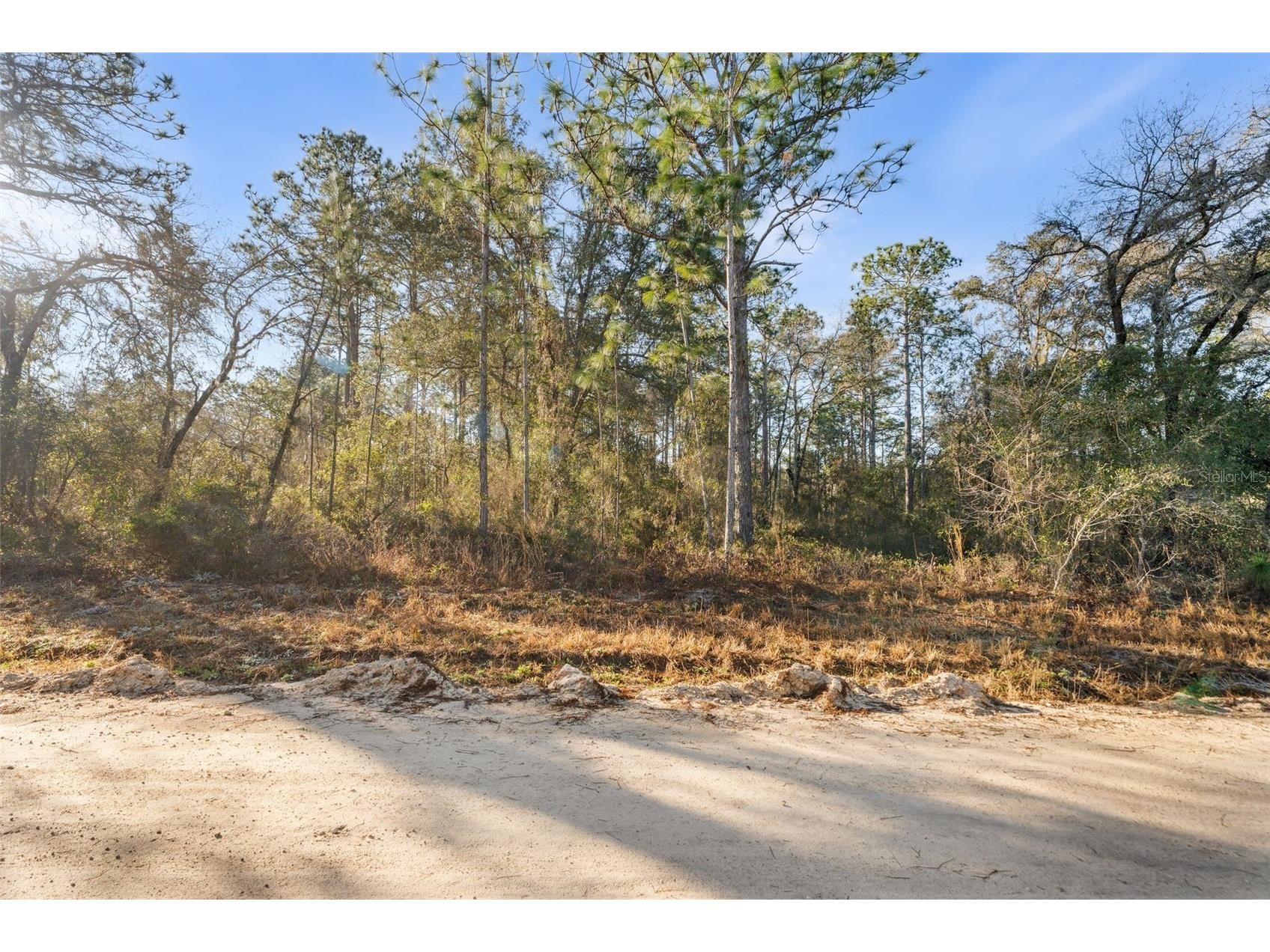 0 NE 121st Avenue Williston FL 32696 GC537233 image4