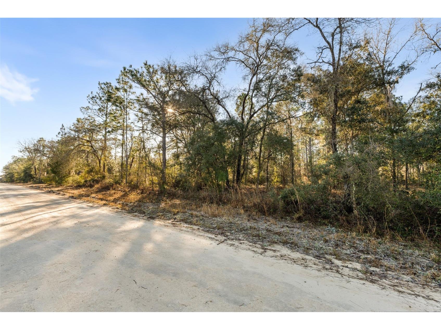 0 NE 121st Avenue Williston FL 32696 GC537233 image5