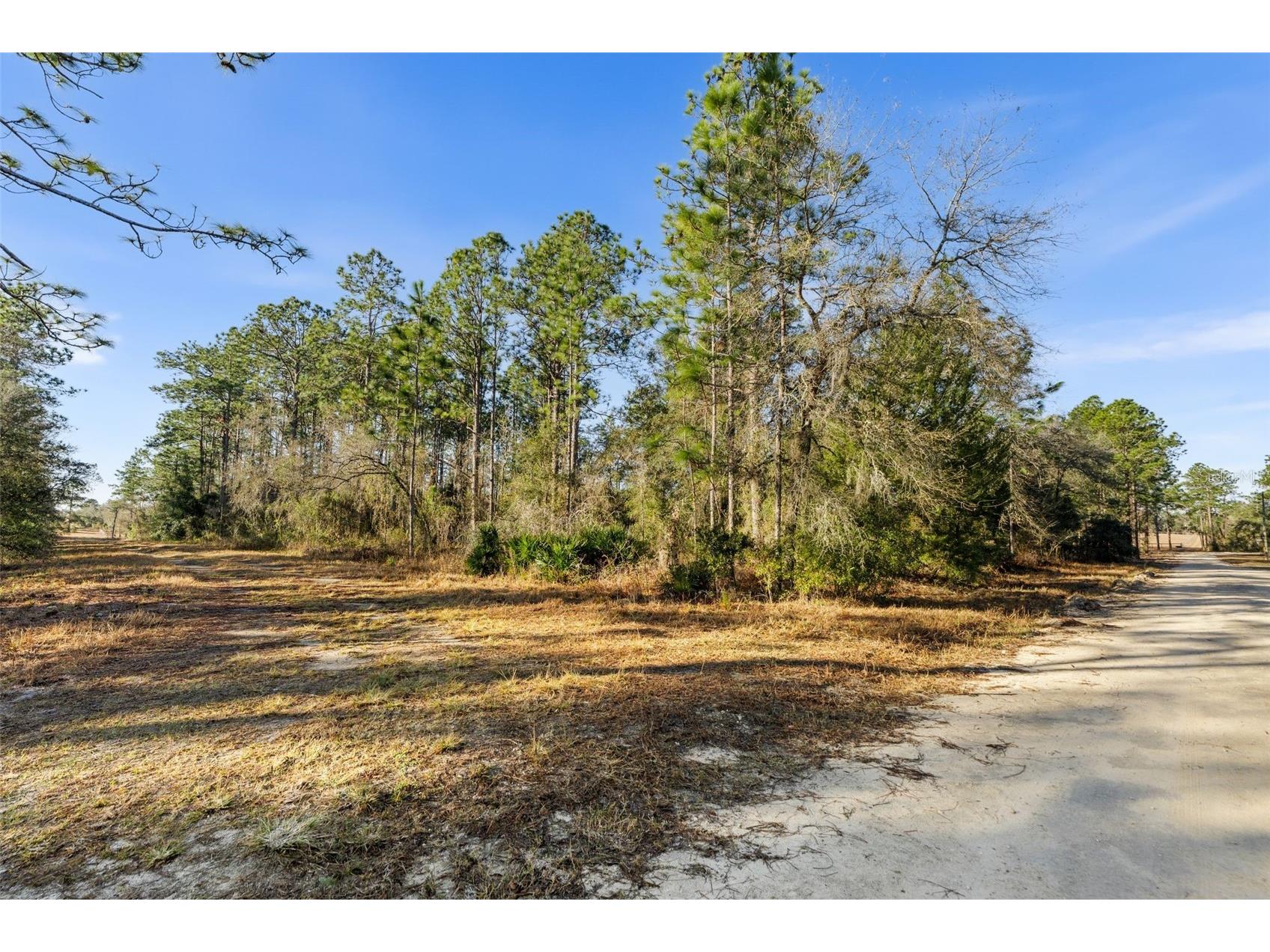 0 NE 121st Avenue Williston FL 32696 GC537233 image6